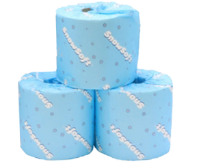 2PLY WRAPPED TOILET PAPER 500 SHEETS (48/CASE)